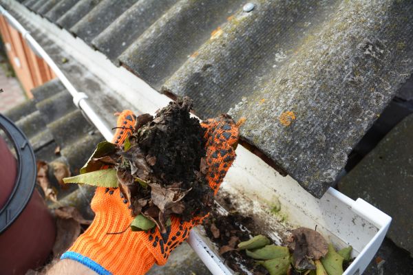 Cost of Seamless Gutter Cleaning in Lutz
