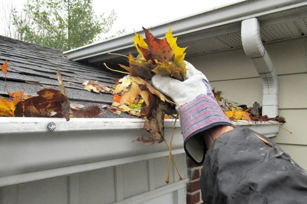 Cost of Leaf Gutter Cleaning in Lutz