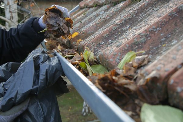 Cost of Commercial Gutter Unclogging in Lutz
