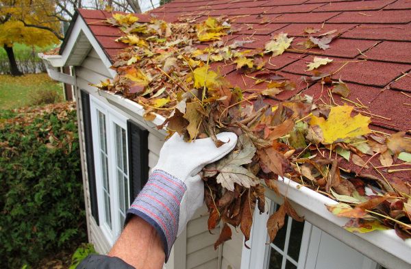 Cost of Emergency Gutter Cleaning in Lutz