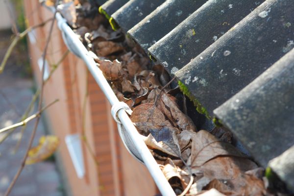 Cost of Home Gutter Cleaning in Lutz